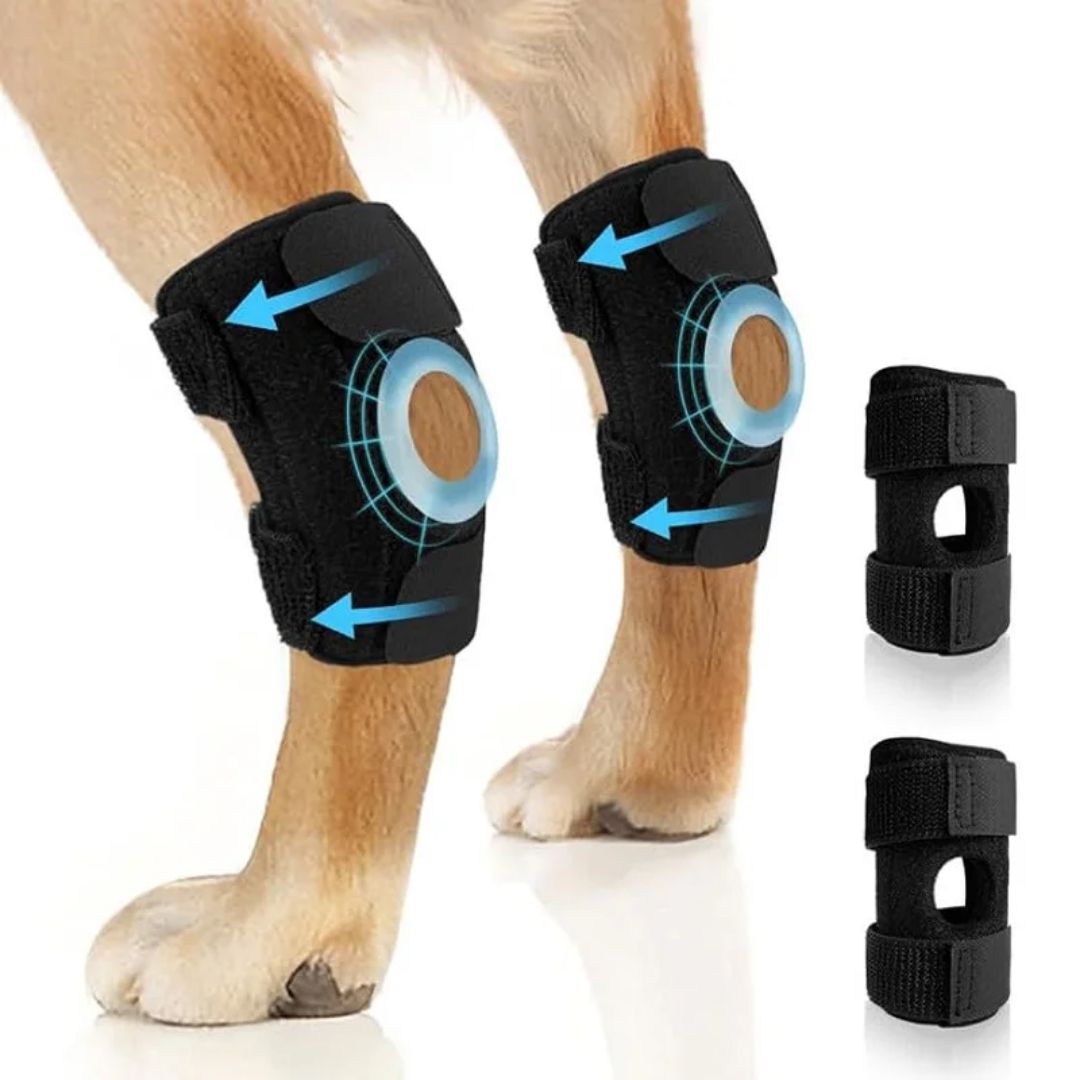 Joelheira Ortopédica para Cães – Suporte e Recuperação Articular velú pet