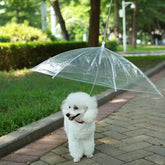 Guarda-Chuva de Proteção Velú Pet, passeio seco em dias de chuva