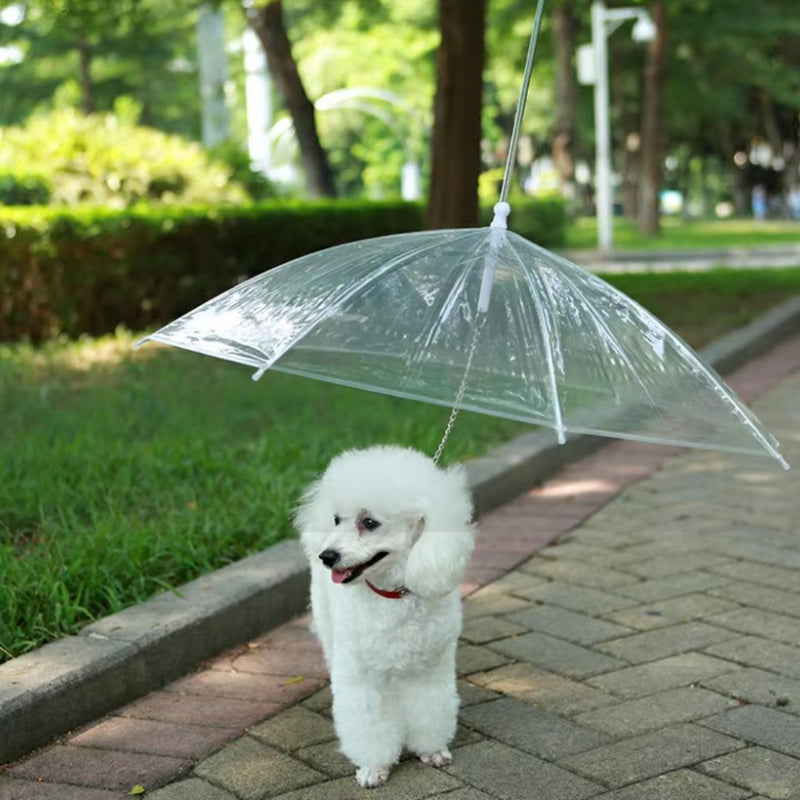 Guarda-Chuva de Proteção para Pets | Ideal para Cães em Dias de Chuva | Mantém o Pet Seco e Confortável | Com Alça Ergonômica e Visibilidade Total