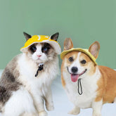 Chapéu de sol Velú Pet, cão ou gato usando o chapéu de proteção UV