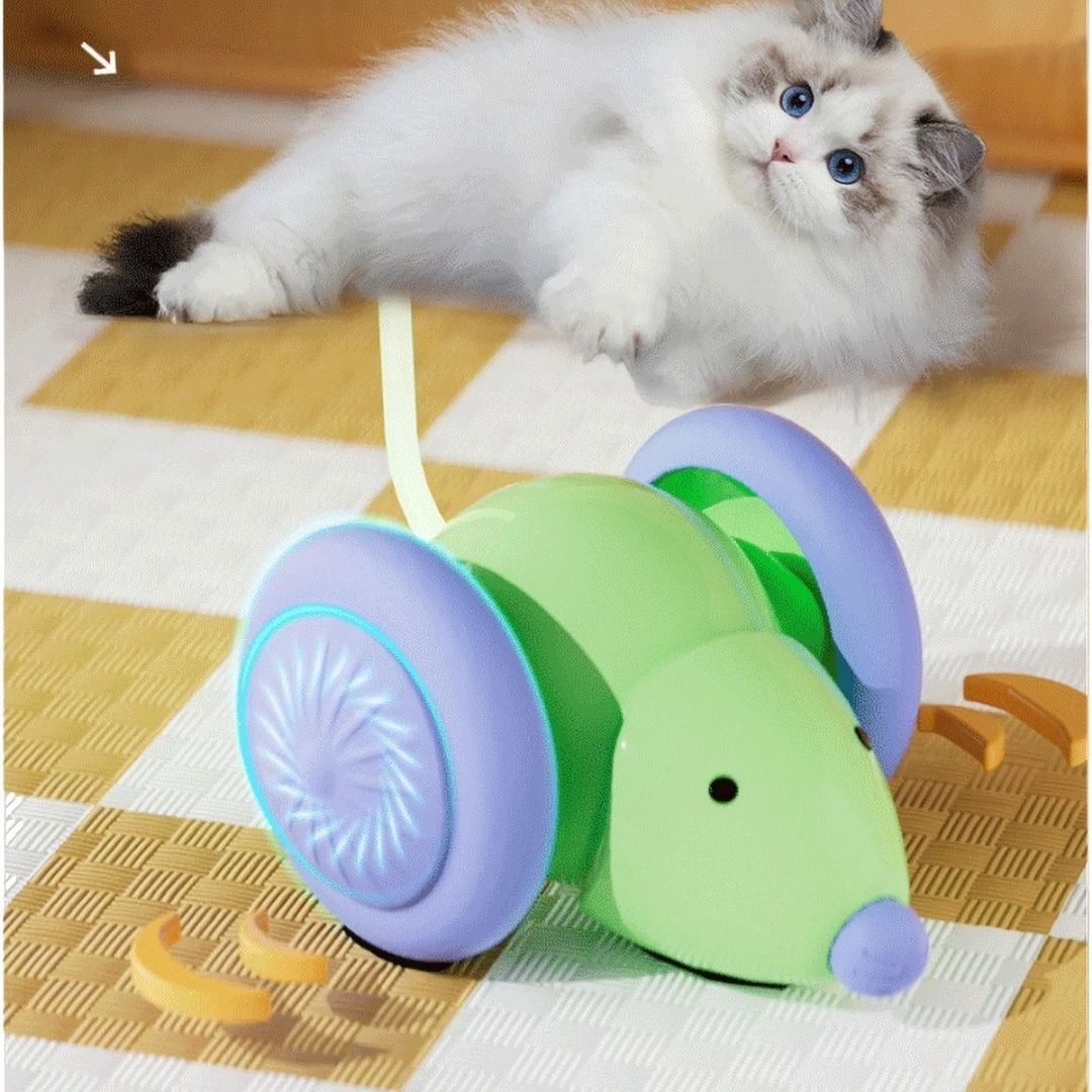 Ratinho Inteligente para Gatos – Brinquedo Automático e Silencioso com Sensor de Obstáculos