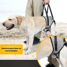 Arnês de Elevação para Cães Idosos e com Problemas de Mobilidade – Suporte Traseiro Confortável Velú Pet