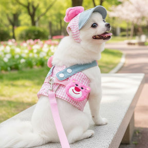 Boné e Peitoral de Luxo para Pets – Estilo e Conforto em Passeios