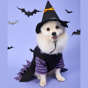 Fantasia De Bruxinha Para Pets
