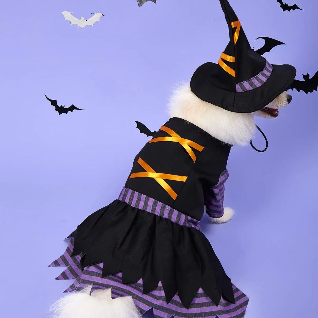 Fantasia De Bruxinha Para Pets