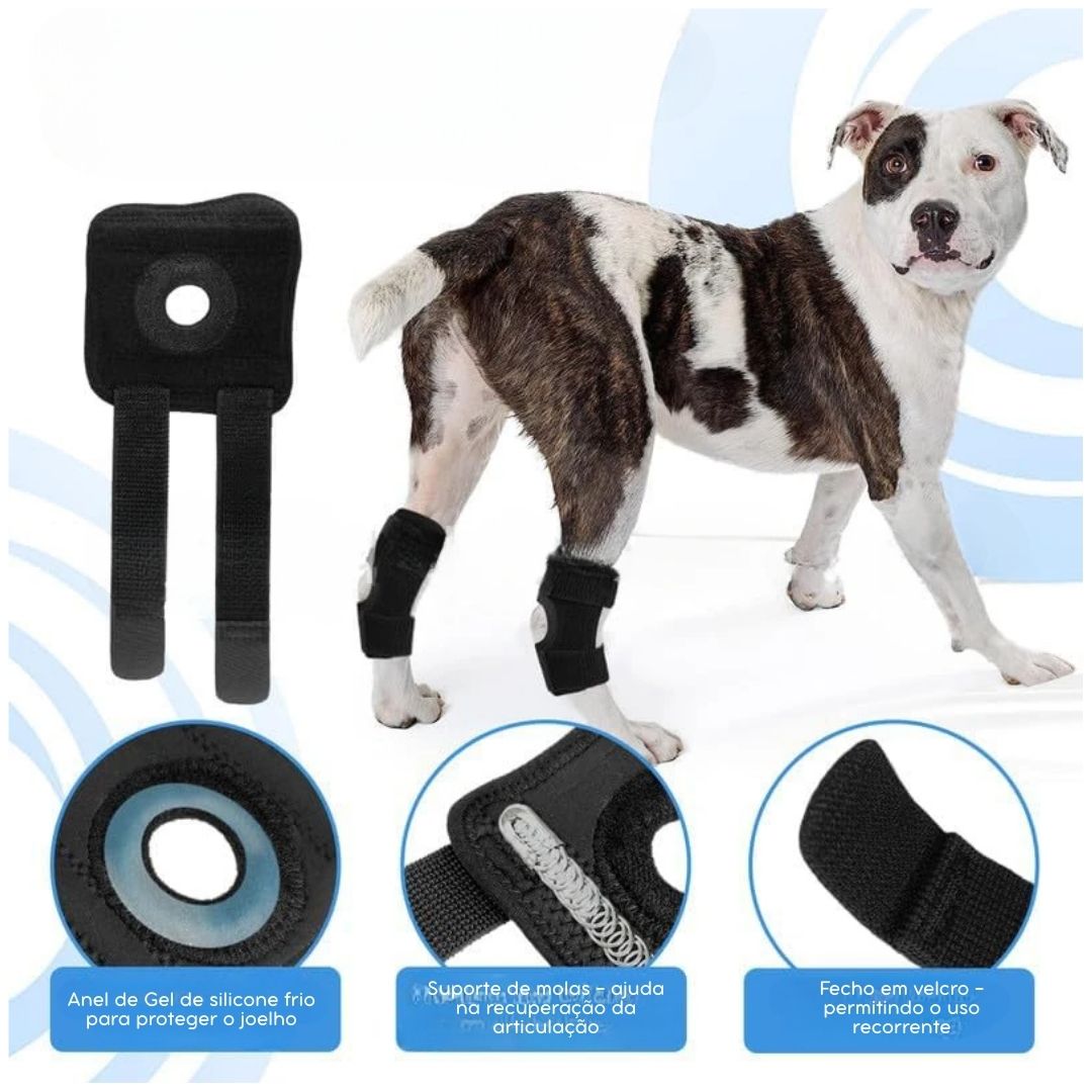 Joelheira Ortopédica para Cães – Suporte e Recuperação Articular velú pet