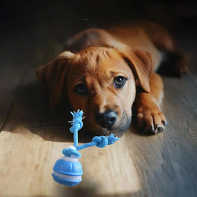 SmartBall Pet™ — Bola Automática com Sensor e Som