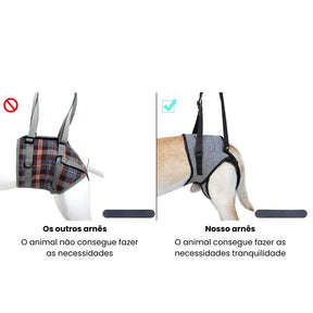 Arnês de Elevação para Cães Idosos e com Problemas de Mobilidade – Suporte Traseiro Confortável Velú Pet