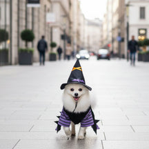 Fantasia de Bruxa para Cães e Gatos