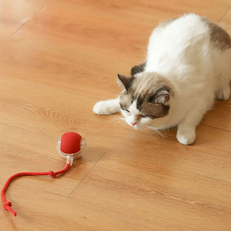 Bola Elétrica Interativa com Cauda para Cães e Gatos – Brinquedo Dinâmico que Estimula a Diversão e o Exercício