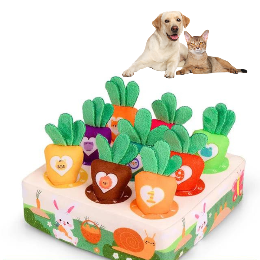 Brinquedo Forrageador de Cenouras para Pets Curiosos - Estimula o Instinto Natural de Caça e Reduz o Tédio