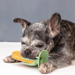 Brinquedo Mordedor em Forma de Milho Verde para Cachorros: Promove Diversão e Saúde Bucal