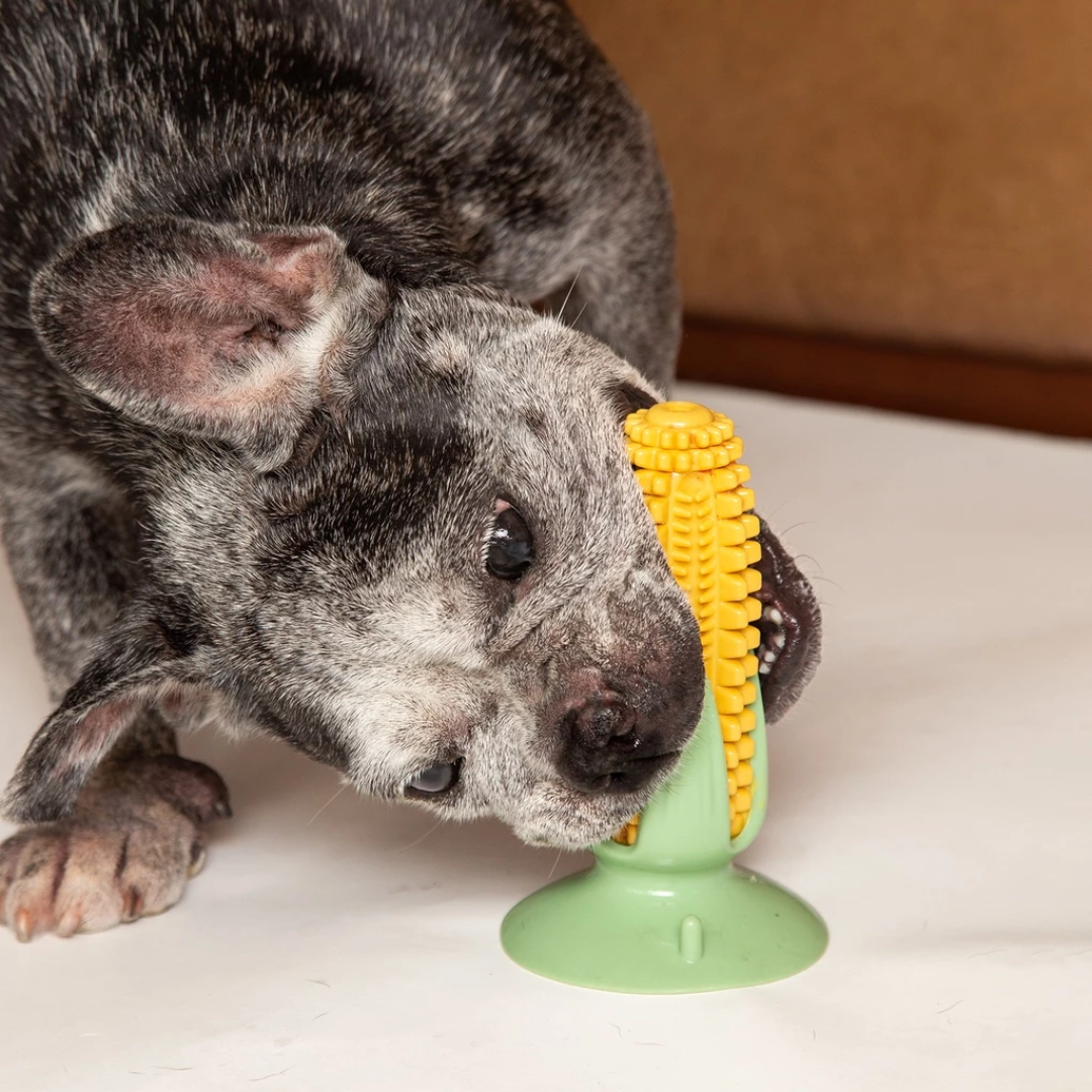Brinquedo Mordedor em Forma de Milho Verde para Cachorros: Promove Diversão e Saúde Bucal