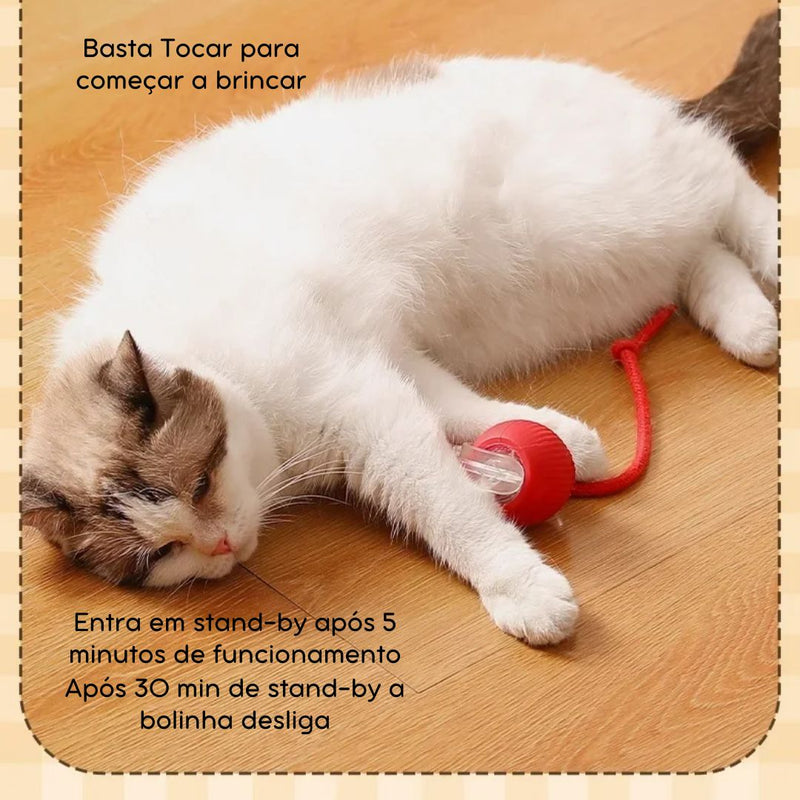 Bola Elétrica Interativa com Cauda para Cães e Gatos – Brinquedo Dinâmico que Estimula a Diversão e o Exercício