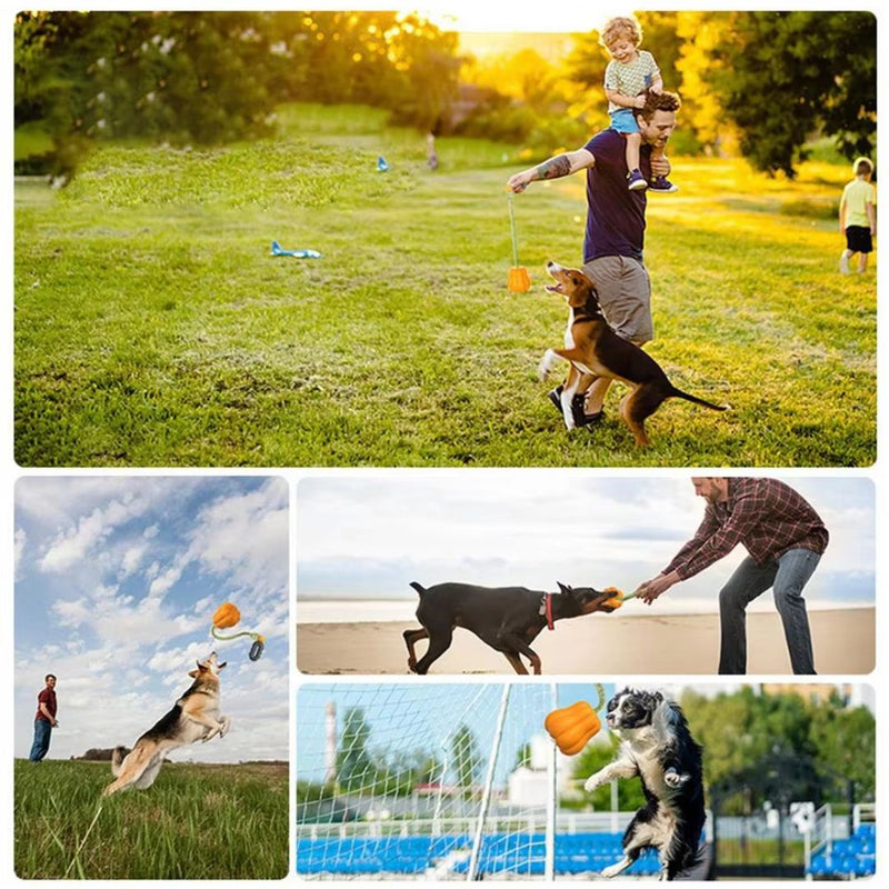 Brinquedo Interativo de Abóbora para Cães - Acessório Divertido para Entretenimento e Estímulo Mental