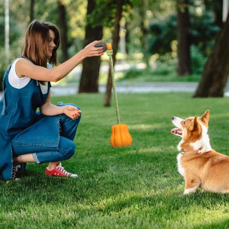 Brinquedo Interativo de Abóbora para Cães - Acessório Divertido para Entretenimento e Estímulo Mental