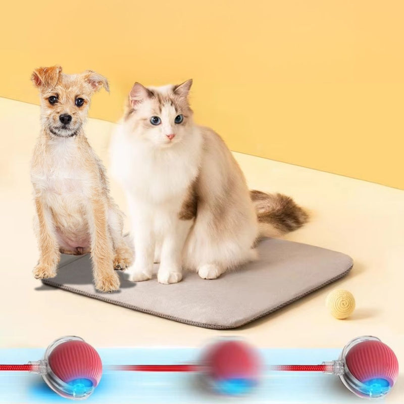 Bola Elétrica Interativa com Cauda para Cães e Gatos – Brinquedo Dinâmico que Estimula a Diversão e o Exercício