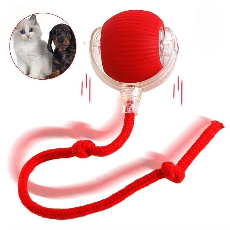 Bola Elétrica Interativa com Cauda para Cães e Gatos – Brinquedo Dinâmico que Estimula a Diversão e o Exercício