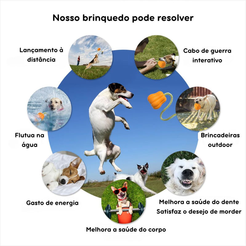 Brinquedo Interativo de Abóbora para Cães - Acessório Divertido para Entretenimento e Estímulo Mental