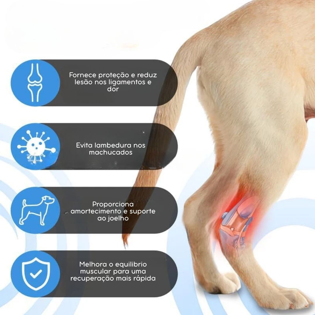 Joelheira Ortopédica para Cães – Suporte e Recuperação Articular velú pet