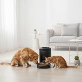 Alimentador Inteligente SmartPet 2L velú pet