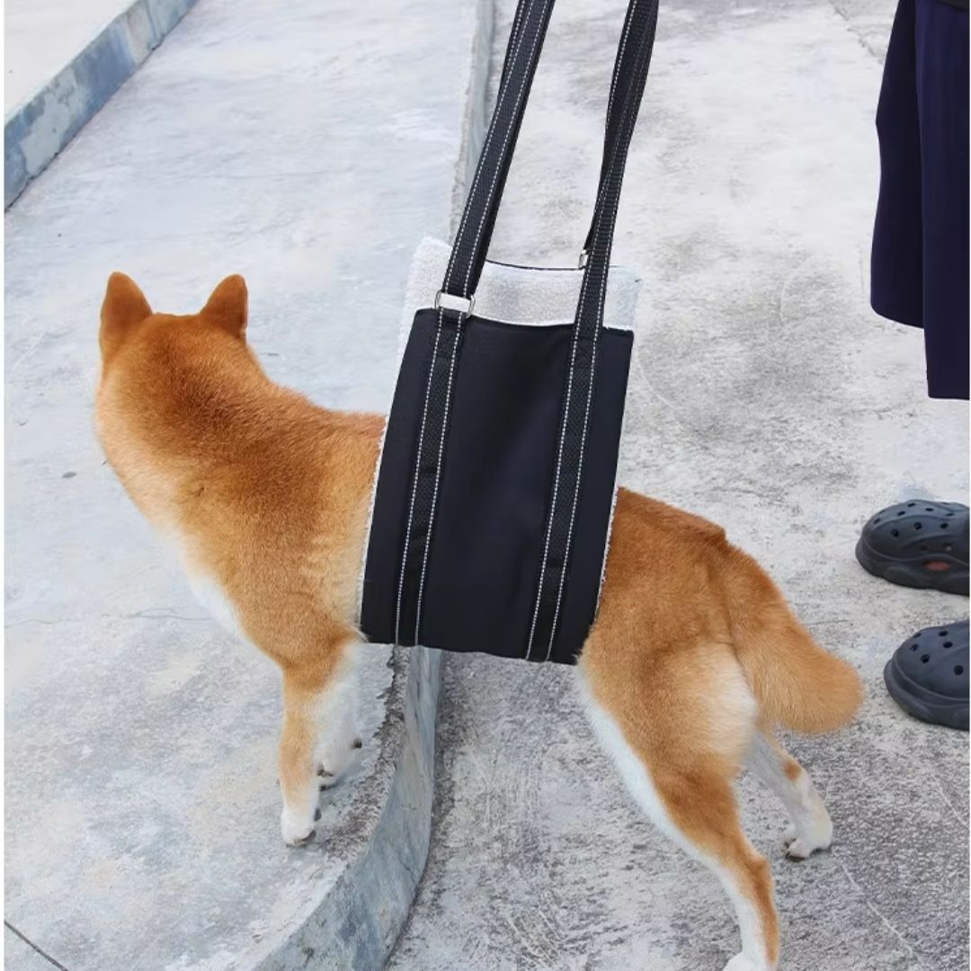 Arnês de Elevação Abdominal Ortopédico para Cães