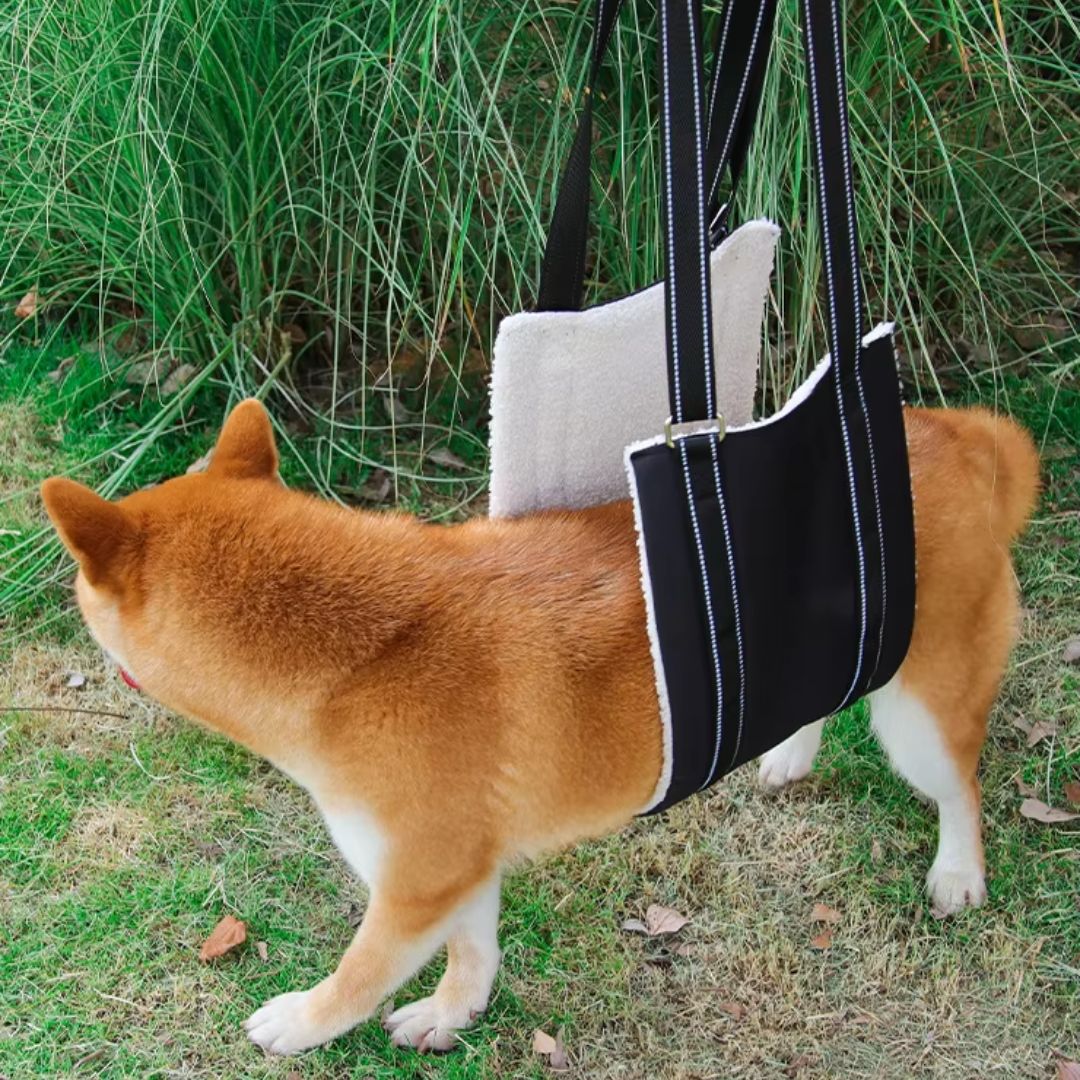 Arnês de Elevação Abdominal Ortopédico para Cães