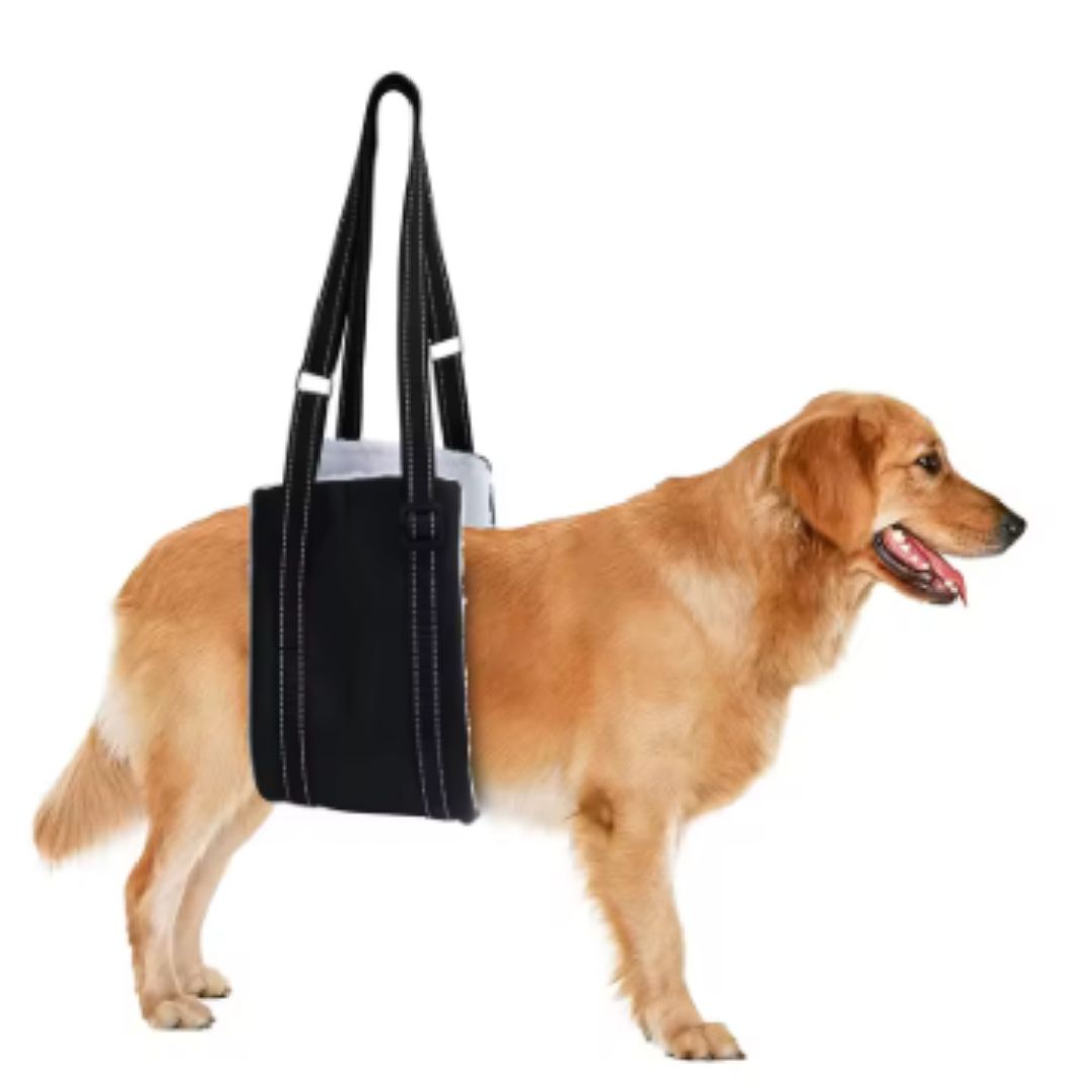 Arnês de Elevação Abdominal Ortopédico para Cães