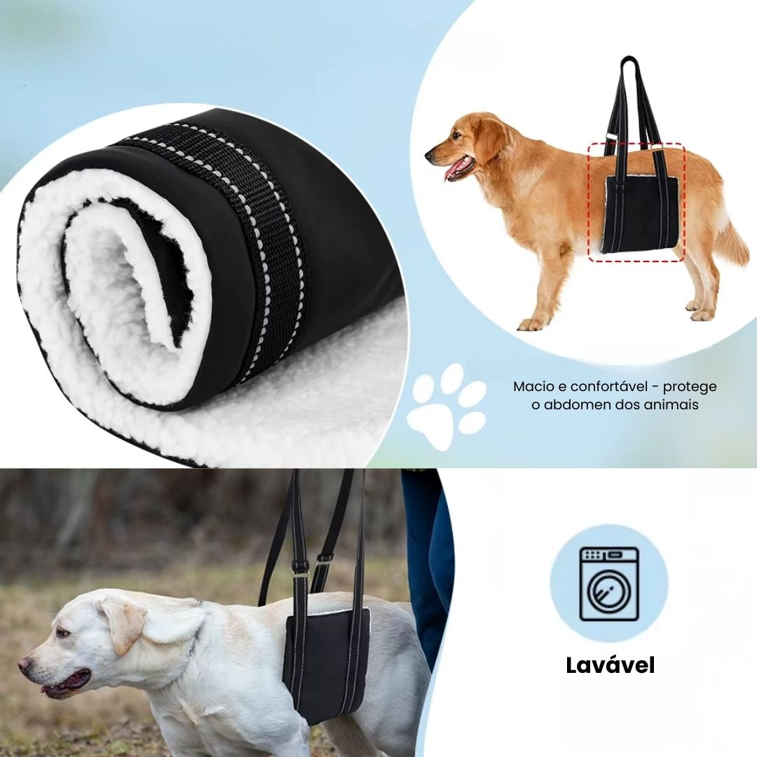 Arnês de Elevação Abdominal Ortopédico para Cães