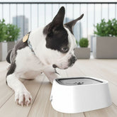 Bebedouro Flutuante Antirespingo para Pets – Pelo Seco e Sem Respingos