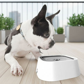 Bebedouro Flutuante Antirespingo para Pets – Pelo Seco e Sem Respingos