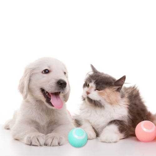 Diga adeus a ansiedade e tédio do seu pet com a Bola Inteligente e mantenha seu pet feliz, ativo e entretido, mesmo quando você não está em casa! Você já percebeu que seu pet está entediado, ansioso e muitas vezes destrutivo?
