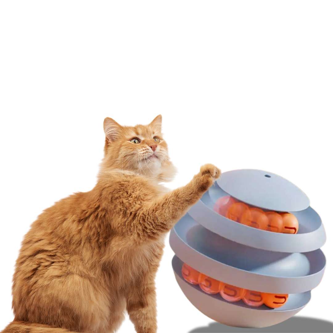 Bola Interativa para Gatos - Brinquedo Labirinto para Estimular a Inteligência e Atividade Física