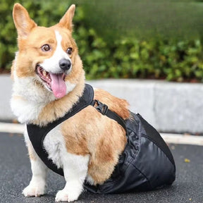 Bolsa de Proteção e Apoio para Cães com Paralisia ou Mobilidade Reduzida