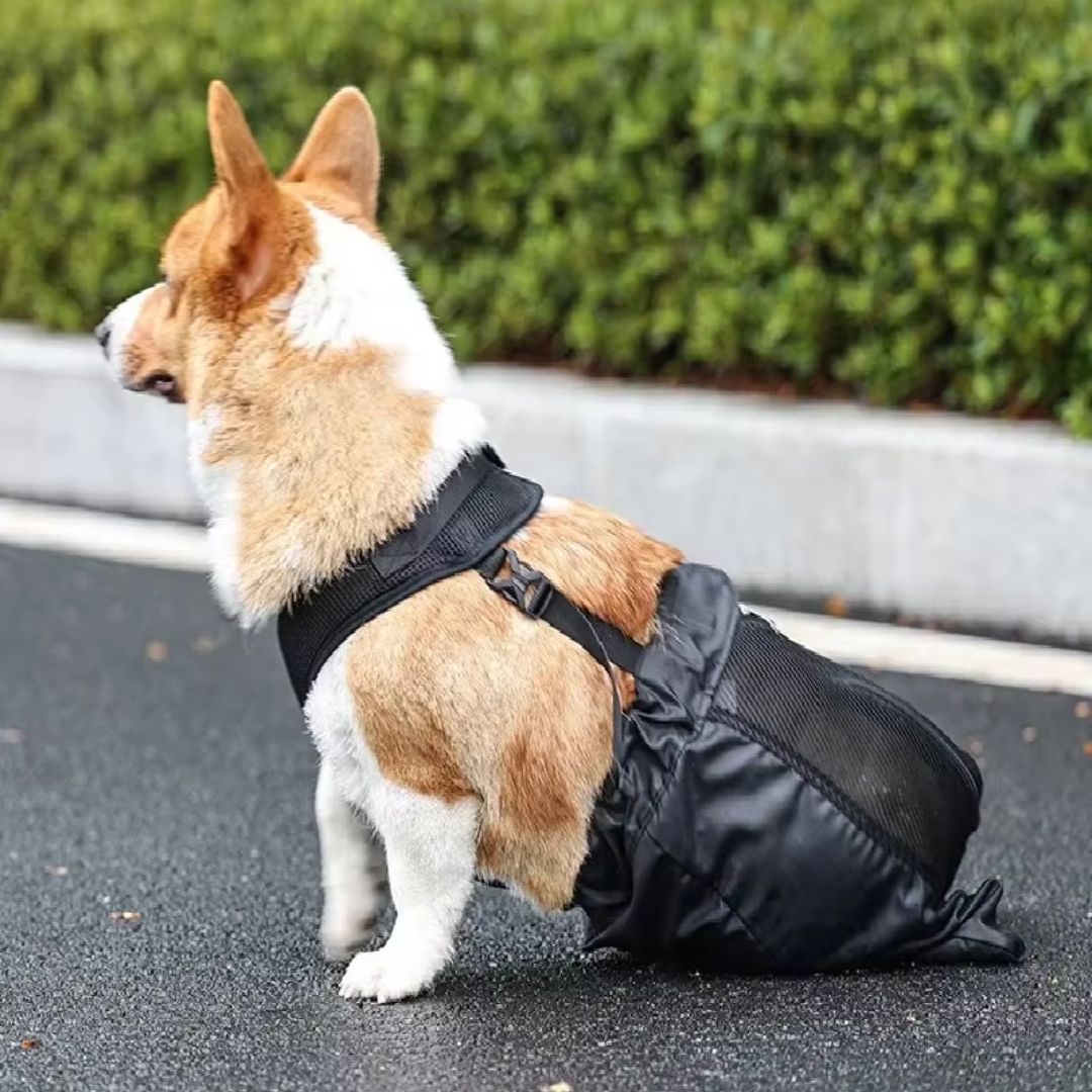 Bolsa de Proteção e Apoio para Cães com Paralisia ou Mobilidade Reduzida