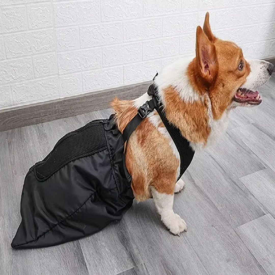 Bolsa de Proteção e Apoio para Cães com Paralisia ou Mobilidade Reduzida