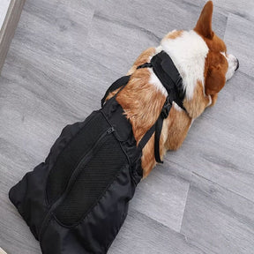 Bolsa de Proteção e Apoio para Cães com Paralisia ou Mobilidade Reduzida