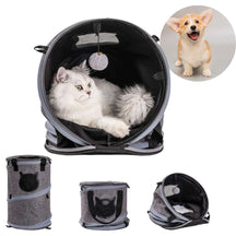 Cansado de ver seu gato estressado e ansioso durante as viagens? A hora de levar seu pet ao veterinário ou para uma viagem se torna um verdadeiro pesadelo.