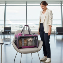 Bolsa de Transporte Respirável para Cães e Gatos