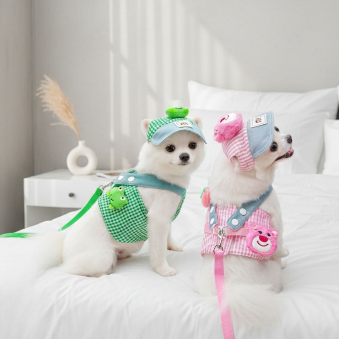 Boné e Peitoral de Luxo para Pets – Estilo e Conforto em Passeios
