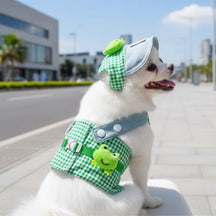 Boné e Peitoral de Luxo para Pets – Estilo e Conforto em Passeios