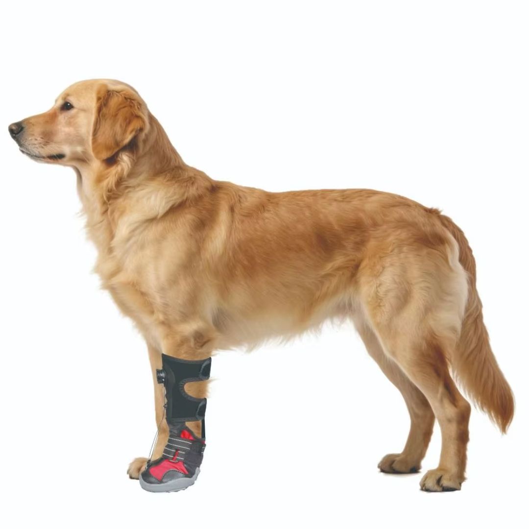 Botinha Corretiva Antiderrapante para Cães que Arrastam a Pata — Apoio de Marcha