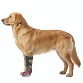 Botinha Corretiva Antiderrapante para Cães que Arrastam a Pata — Apoio de Marcha