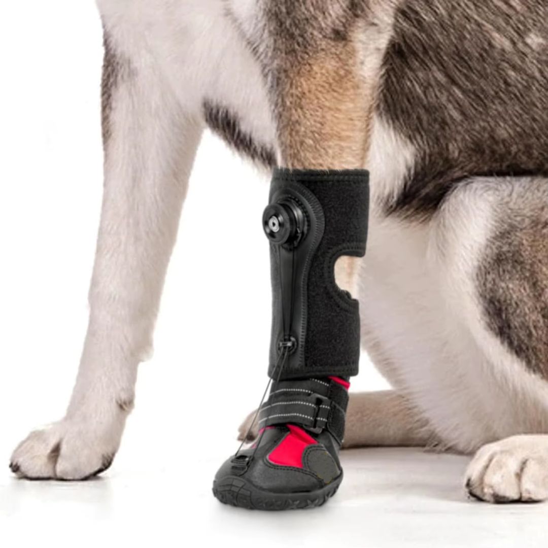 Botinha Corretiva Antiderrapante para Cães que Arrastam a Pata — Apoio de Marcha