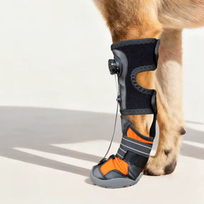 Botinha Corretiva Antiderrapante para Cães que Arrastam a Pata — Apoio de Marcha
