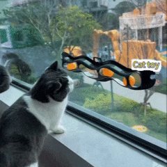 Brinquedo Caça Bola Orbital para Gatos Interativo
