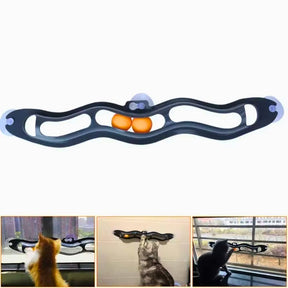 Brinquedo Caça Bola Orbital para Gatos Interativo