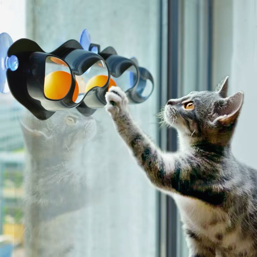 Brinquedo Caça Bola Orbital para Gatos Interativo
