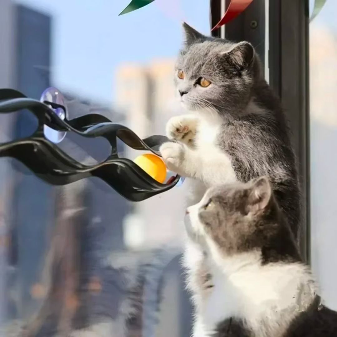Brinquedo Caça Bola Orbital para Gatos Interativo
