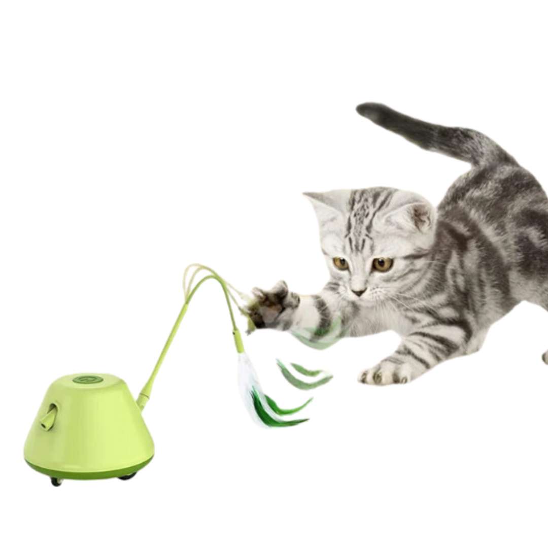 Brinquedo Interativo Aventura 360º Para Gatos: Diversão Infinita e Estímulo Mental